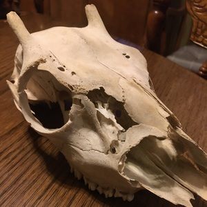 Meet your Posher, Leah